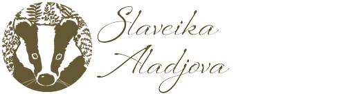 Slaveika Art site logo