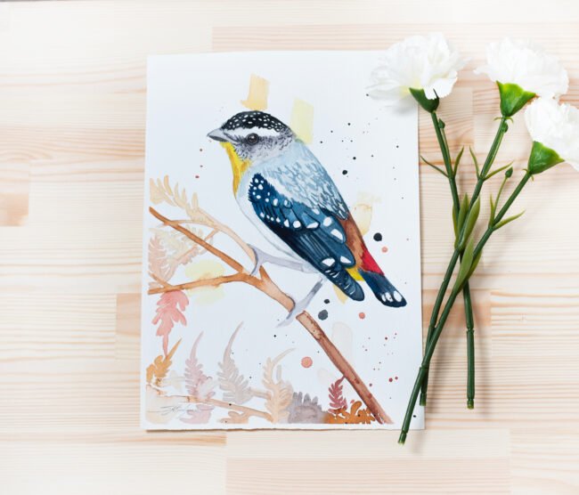 "Spotted pardalote" Original Watercolor Painting