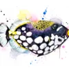 "Clown Triggerfish" Original Watercolor Painting, fish "Clown Triggerfish" Original Watercolor Painting, fish