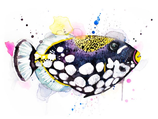 "Clown Triggerfish" Original Watercolor Painting, fish