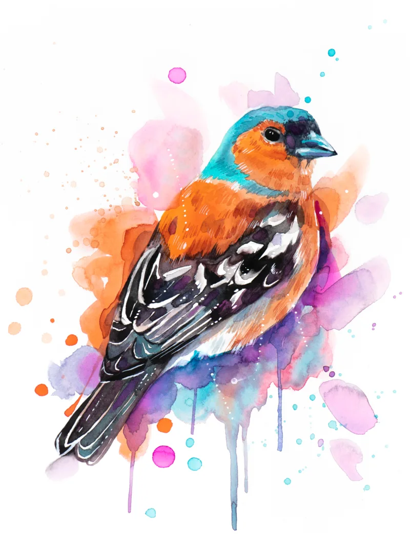"Common Chaffinch" Original Watercolor Painting, bird "Common Chaffinch" Original Watercolor Painting, bird