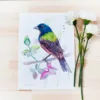 "Painted-Bunting" Original Watercolor Painting, bird