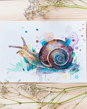 "Snail" Original Watercolor Painting