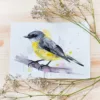 "Eastern yellow robin" Original Watercolor Painting