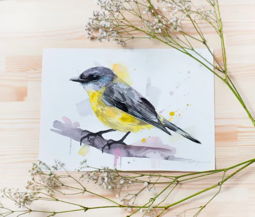 "Eastern yellow robin" Original Watercolor Painting "Eastern yellow robin" Original Watercolor Painting