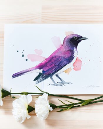 "Amethyst starling or Violet-backed starling" Original Watercolor Painting bird