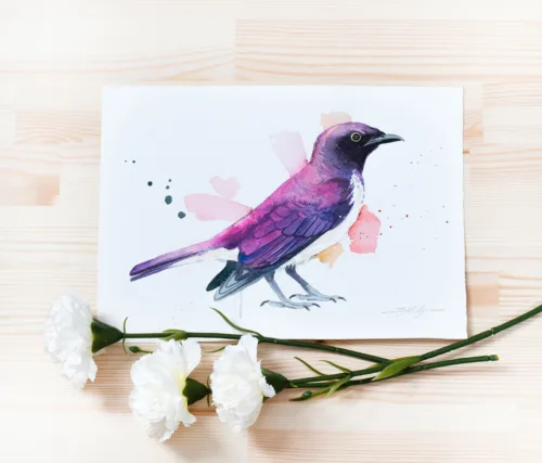 "Amethyst starling or Violet-backed starling" Original Watercolor Painting bird "Amethyst starling or Violet-backed starling" Original Watercolor Painting bird