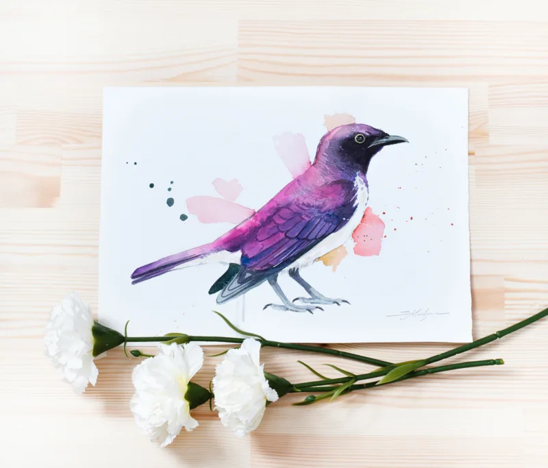 "Amethyst starling or Violet-backed starling" Original Watercolor Painting bird
