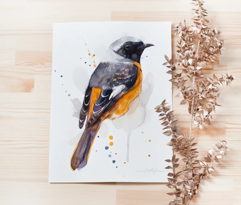 "Hodgson's Redstart" Original Watercolor Painting