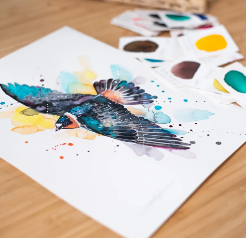 "Cliff Swallow" Original Watercolor Painting, bird "Cliff Swallow" Original Watercolor Painting, bird