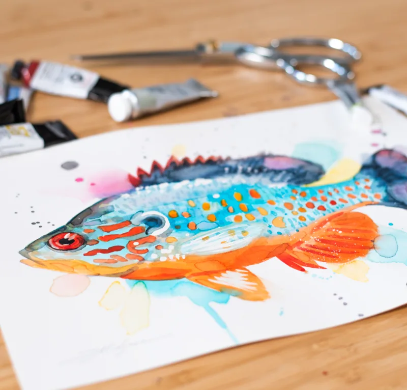 "Orangespotted sunfish" Original Watercolor Painting, fish