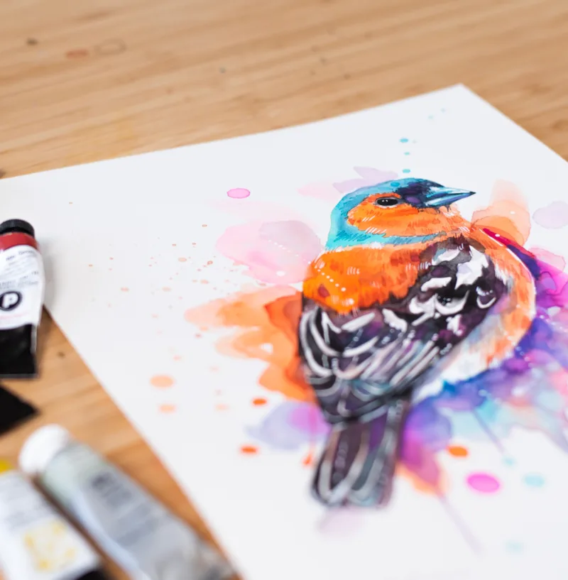 "Common Chaffinch" Original Watercolor Painting, bird "Common Chaffinch" Original Watercolor Painting, bird