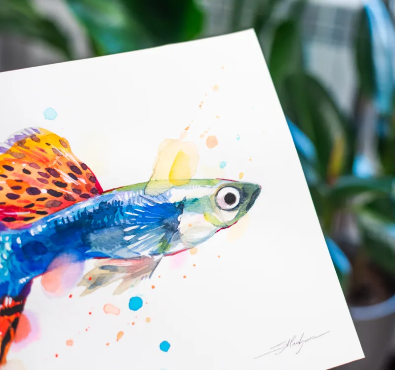 "Guppy, Rainbow fish" Original Watercolor Painting