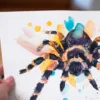 "Mexican Red Knee Tarantula" Original Watercolor Painting "Mexican Red Knee Tarantula" Original Watercolor Painting