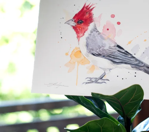 "Red-crested cardinal" Original Watercolor Painting, bird