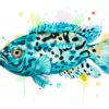 "Electric Blue Jack Dempsey Cichlid" Original Watercolor Painting