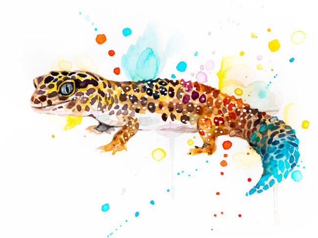 "Leopard gecko" Original Watercolor Painting