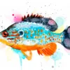"Orangespotted sunfish" Original Watercolor Painting
