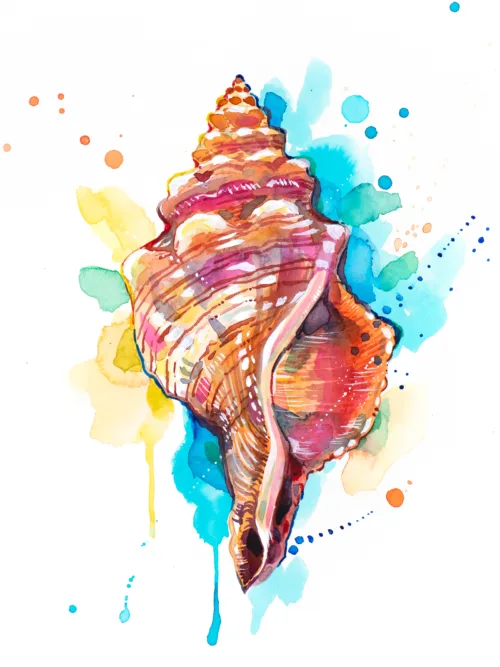 "Seashell" Original Watercolor Painting