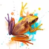 Yellow Frog Yellow Frog