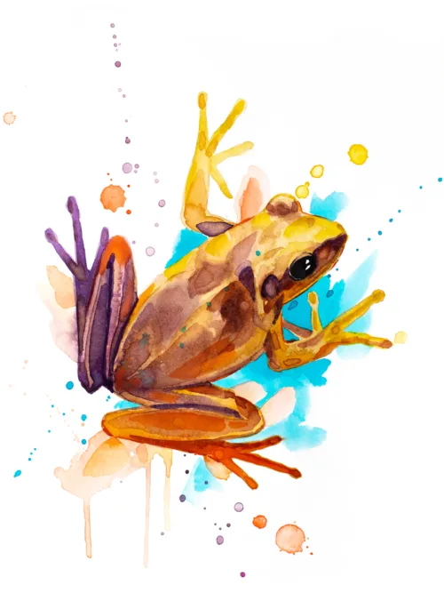 Yellow Frog