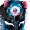 Tasmanian devil watercolor painting, limited edition art print by Slaveika Aladjova, view 2