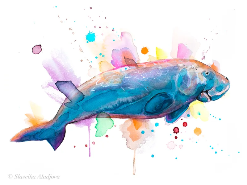 Dugong watercolor painting, limited edition art print by Slaveika Aladjova, view 3