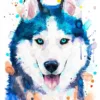 Dog Custom Hand painted Pet portrait Dog Custom Hand painted Pet portrait