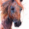 Horse Custom Hand painted Horse portrait Horse Custom Hand painted Horse portrait