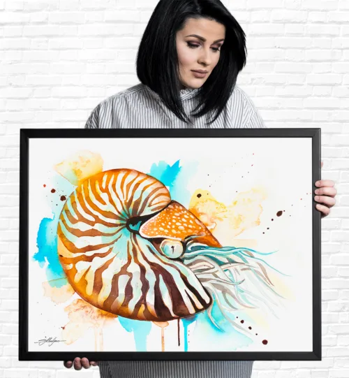 Chambered nautilus watercolor painting print by Slaveika Aladjova, art, animal, illustration, Sea art, sea life art, home decor, Wall art Chambered nautilus watercolor painting, limited edition art print by Slaveika Aladjova