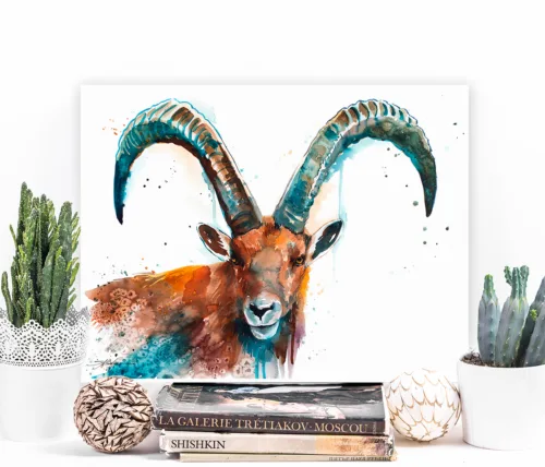 Alpine ibex watercolor painting, limited edition art print by Slaveika Aladjova