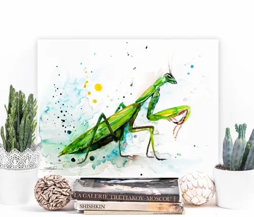 Mantis Praying mantis watercolor painting, limited edition art print by Slaveika Aladjova