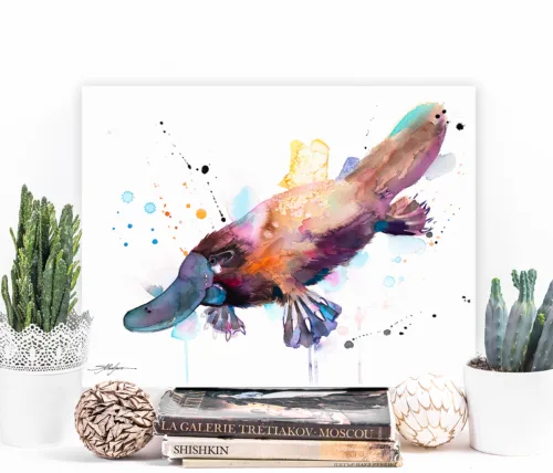 Platypus watercolor painting, limited edition art print by Slaveika Aladjova