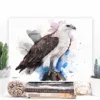White-bellied sea eagle watercolor painting, limited edition art print by Slaveika Aladjova, view 3