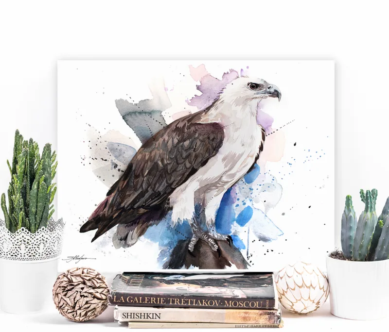 White-bellied sea eagle watercolor painting, limited edition art print by Slaveika Aladjova, view 3
