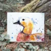 Ruddy shelduck watercolor painting, limited edition art print by Slaveika Aladjova