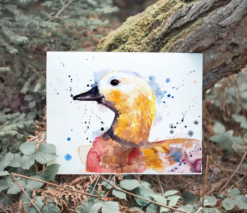 Ruddy shelduck watercolor painting, limited edition art print by Slaveika Aladjova