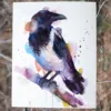 Hooded crow watercolor painting, limited edition art print by Slaveika Aladjova