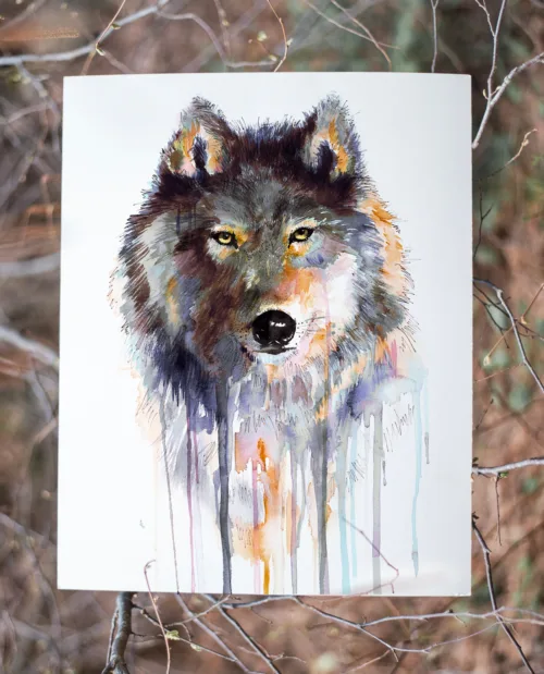 Grey wolf watercolor painting, limited edition art print by Slaveika Aladjova