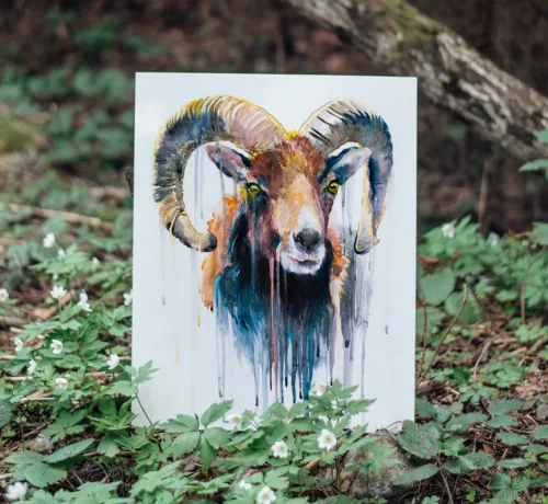Mouflon watercolor painting print by Slaveika Aladjova, ram, art, animal, illustration, Mouflon watercolor painting, limited edition art print by Slaveika Aladjova