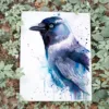 Jackdaw watercolor painting, limited edition art print by Slaveika Aladjova