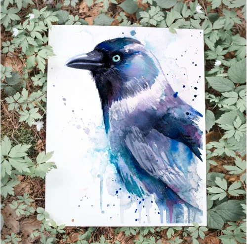 Jackdaw Jackdaw watercolor painting, limited edition art print by Slaveika Aladjova
