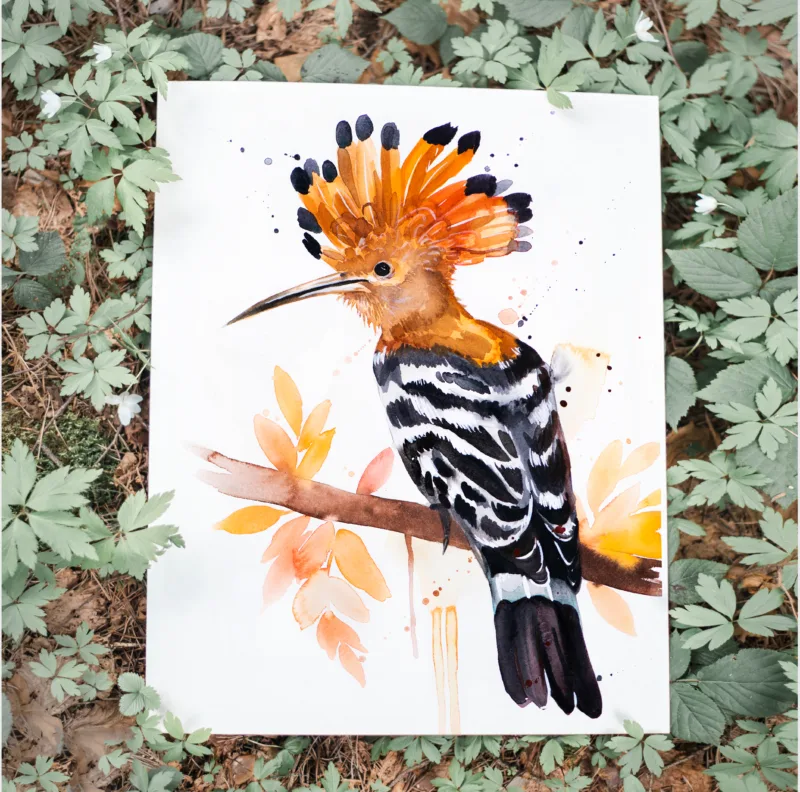 Hoopoe watercolor painting, limited edition art print by Slaveika Aladjova