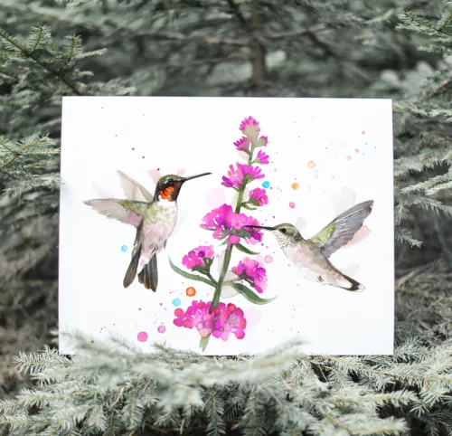 Two ruby-throated hummingbirds at pink flowers, watercolor painting, limited edition art print by Slaveika Aladjova