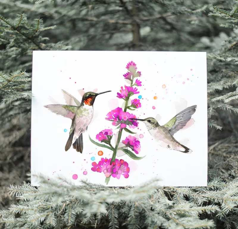 Two ruby-throated hummingbirds at pink flowers, watercolor painting, limited edition art print by Slaveika Aladjova