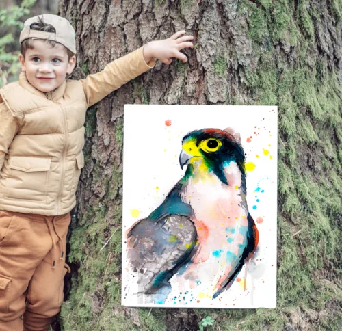 Lanner falcon watercolor painting, limited edition art print by Slaveika Aladjova, view 2