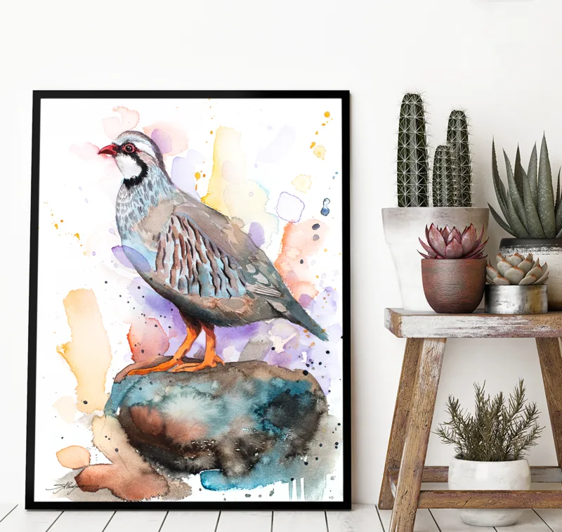 Red-legged partridge watercolor painting, limited edition art print by Slaveika Aladjova, view 3