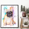 Fawn French bulldog puppy watercolor painting, limited edition art print by Slaveika Aladjova, view 3