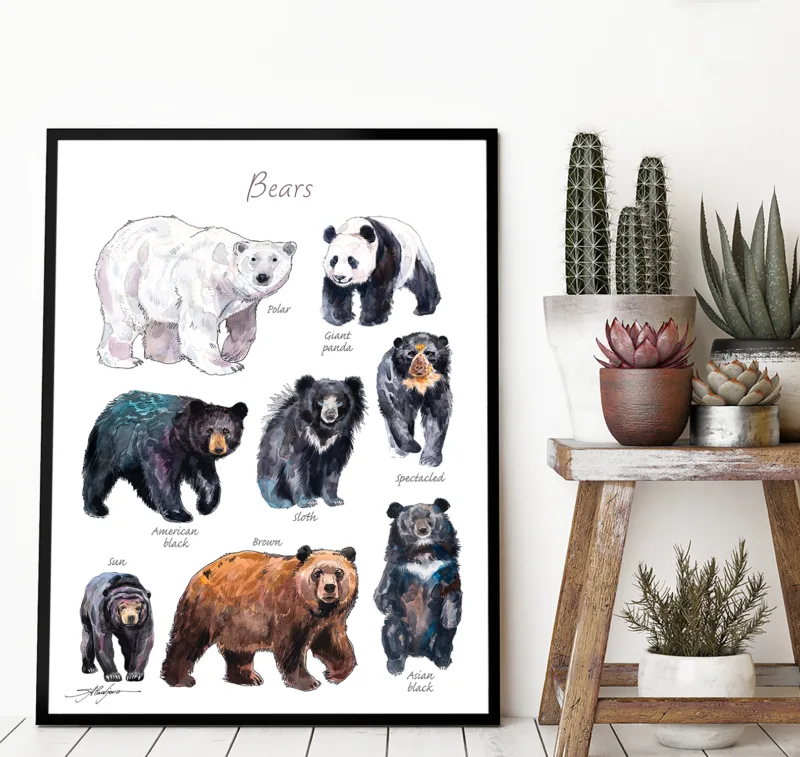 Bears of the world watercolor chart with 8 species, limited edition art print by Slaveika Aladjova, view 3