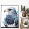 Black-chested buzzard-eagle watercolor painting, limited edition art print by Slaveika Aladjova
